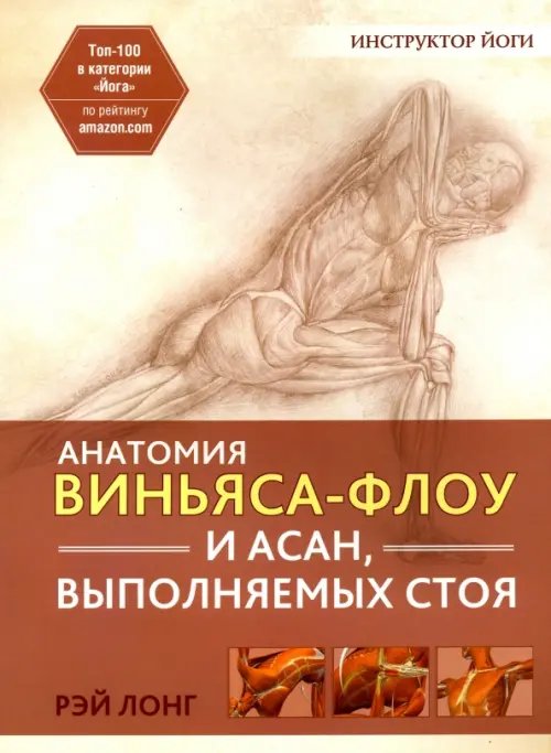 Анатомия виньяса-флоу и асан, выполняемых стоя Анатомия виньяса-флоу и асан, выполняемых стоя