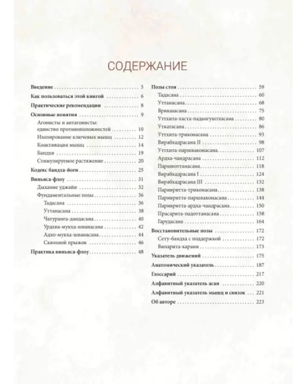 Анатомия виньяса-флоу и асан, выполняемых стоя