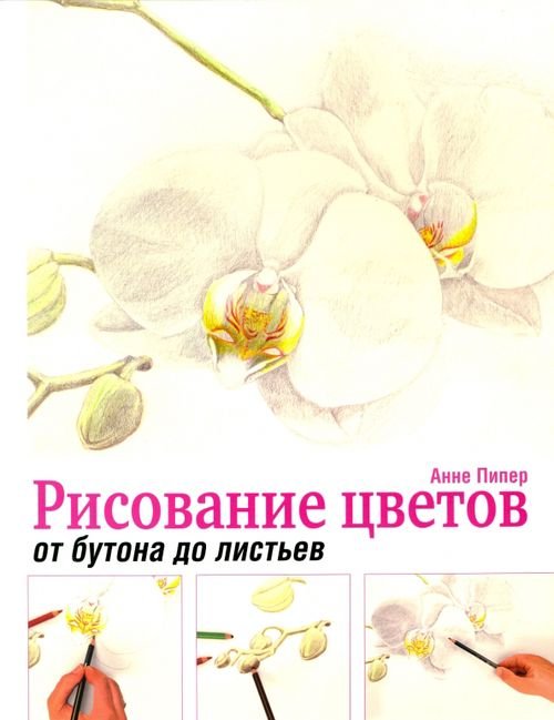 Рисование цветов от бутона до листьев