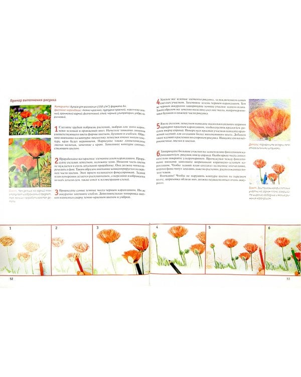 Рисование цветов от бутона до листьев