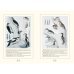 Дятловые