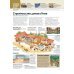 Удивительная история