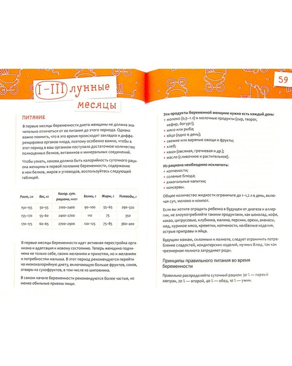 Ваша беременность день за днём от планирования до родов