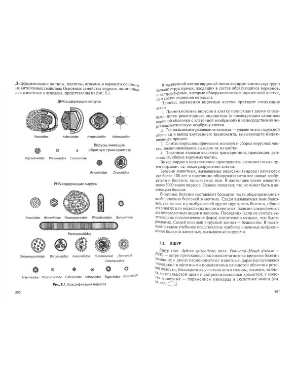 Инфекционные болезни животных. Учебник