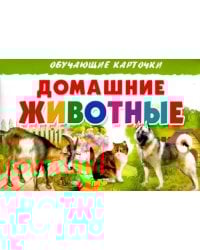 Домашние животные. Обучающие карточки