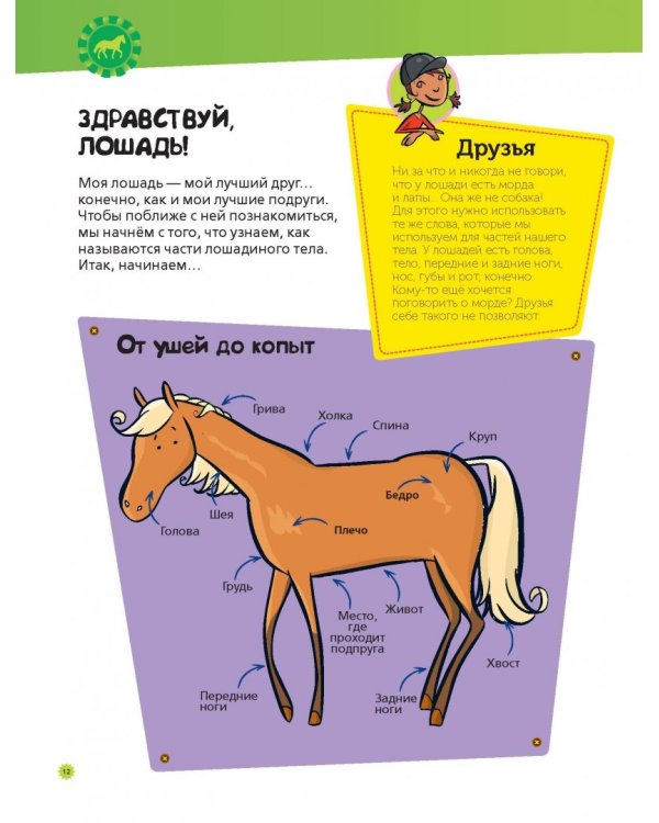 Большая книга о лошадях