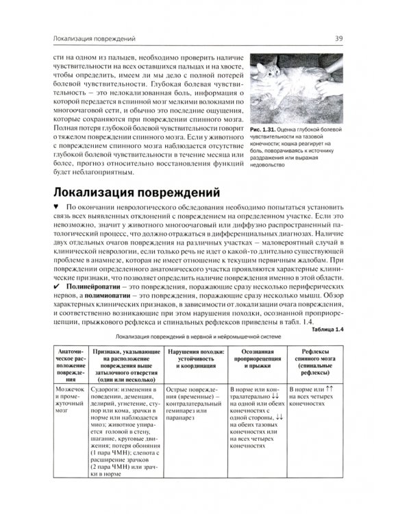Неврология собак и кошек. Полное руководство для практикующих ветеринарных врачей