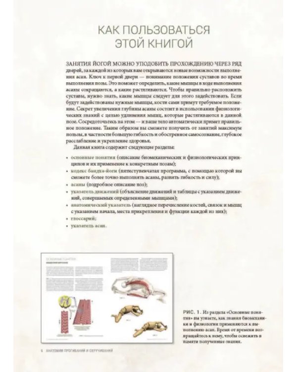 Анатомия прогибаний и скручиваний