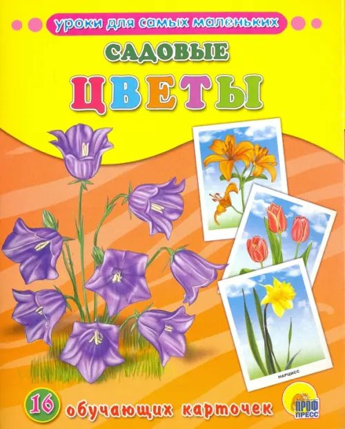 Обучающие карточки. Садовые цветы