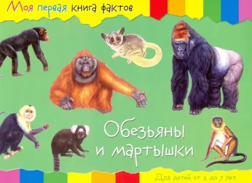 Обезьяны Обезьяны