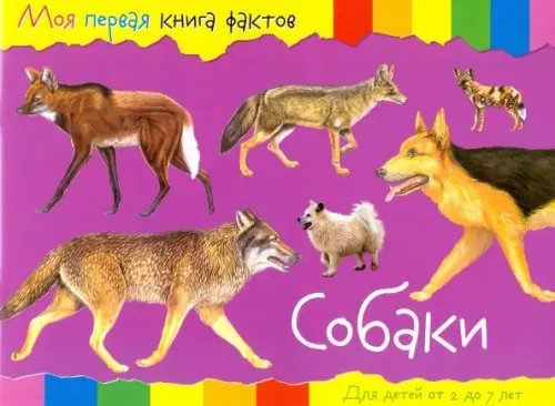 Собаки Собаки