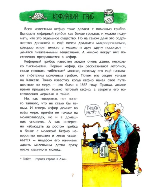 Грибное царство