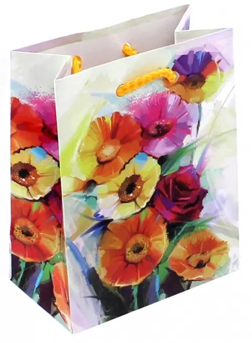 Пакет подарочный, бумажный, 110х137х60 мм Пакет подарочный, бумажный, 110х137х60 мм