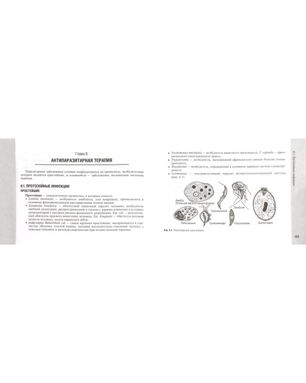 Руководство по антимикробной терапии в педиатрии