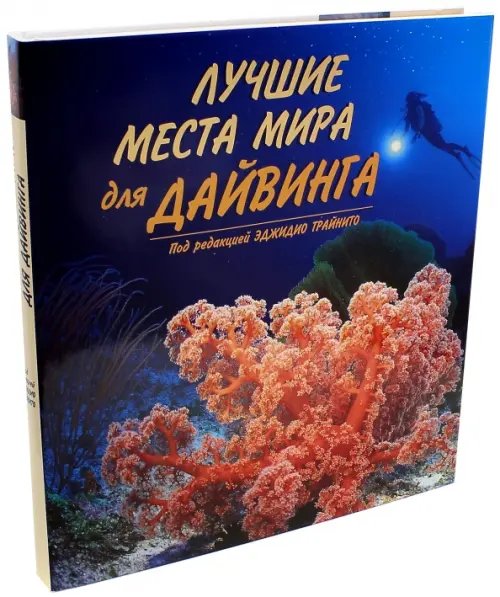 Лучшие места мира для дайвинга Лучшие места мира для дайвинга