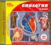 CD-ROM. Биология. 8 класс (CDpc)