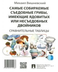 Самые собираемые съедобные грибы, имеющие ядовитых двойников. Сравнительные таблицы