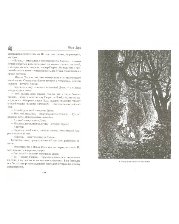 Пятнадцатилетний капитан