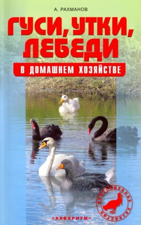 Гуси, утки, лебеди в домашнем хозяйстве. Содержание и разведение