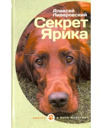 Секрет Ярика. Рассказы