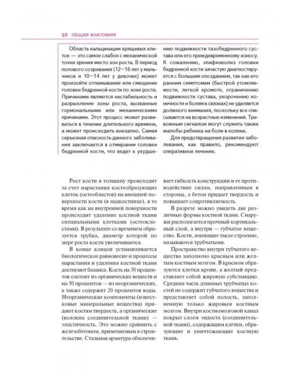 Спортивная анатомия