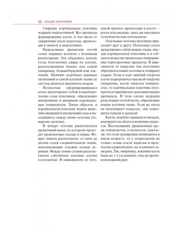 Спортивная анатомия