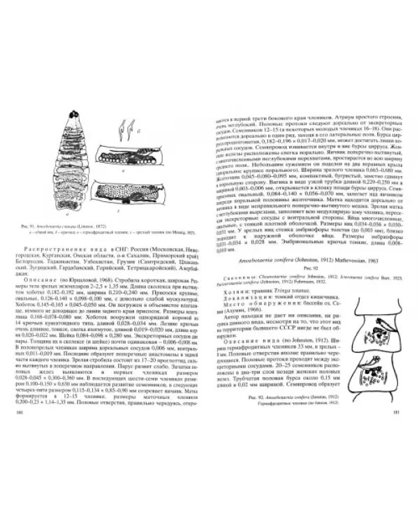Цестоды фауны юга Малого Кавказа