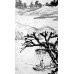 Чжуан-цзы Бронислава Виногродского. Книга о знании и власти