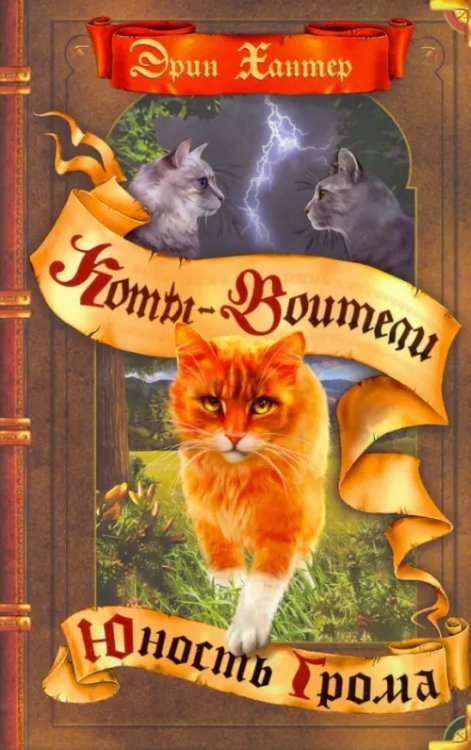 Коты-воители. Начало племен Юность Грома