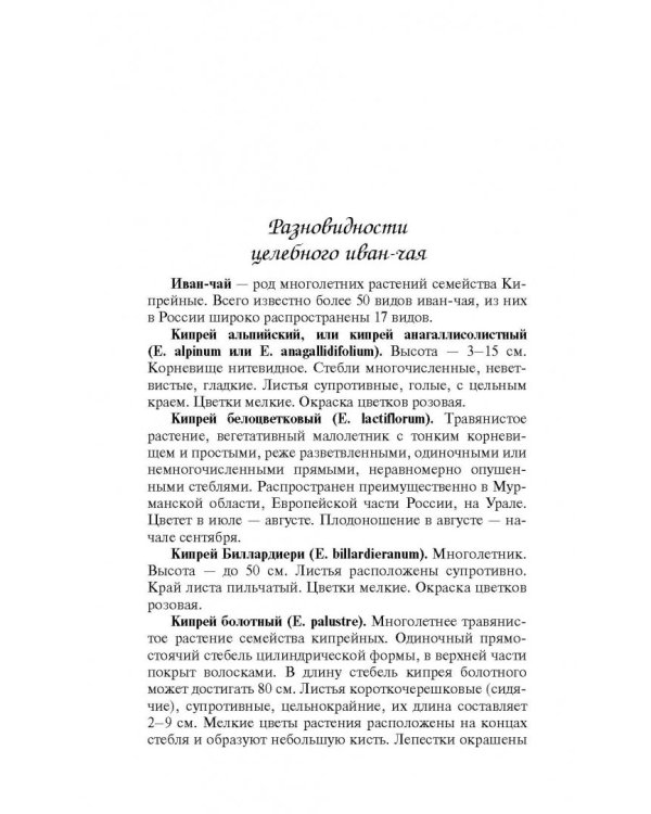 Целебный иван-чай