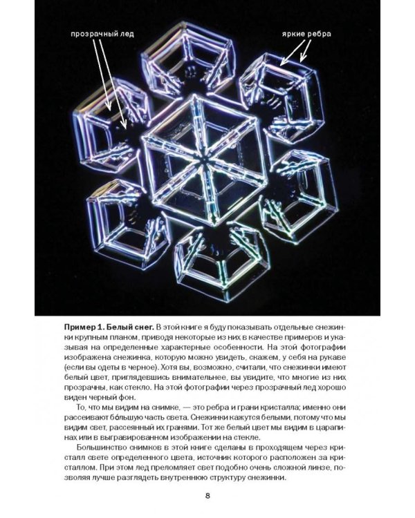 Снежинки. Тайная красота зимней природы. Занимательное снежинковедение