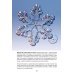Снежинки. Тайная красота зимней природы. Занимательное снежинковедение
