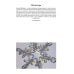 Снежинки. Тайная красота зимней природы. Занимательное снежинковедение