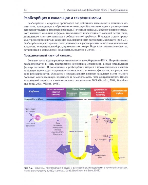 Общий анализ мочи в ветеринарной медицине