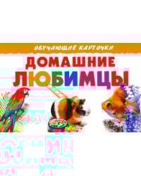 Домашние любимцы