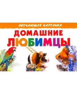 Домашние любимцы