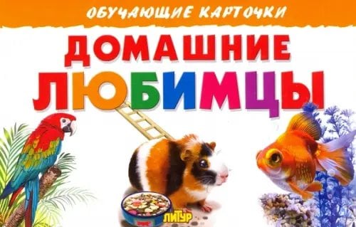 Обучающие карточки и плакаты Домашние любимцы