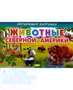 Животные Северной