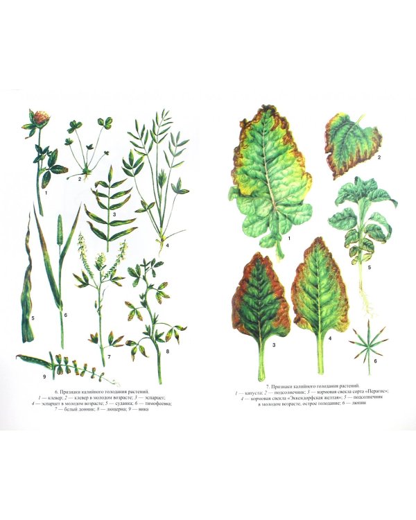 Агрохимия. Учебник