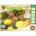Сборная деревянная модель. Каракурт