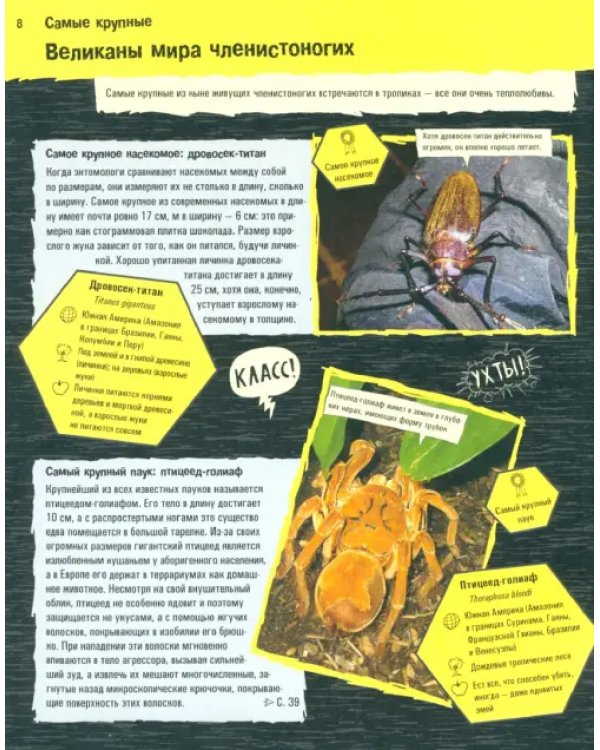 Прекрасные и опасные. Насекомые, пауки, скорпионы