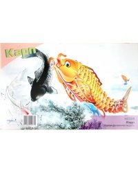 Сборная деревянная модель, цветная. Карп