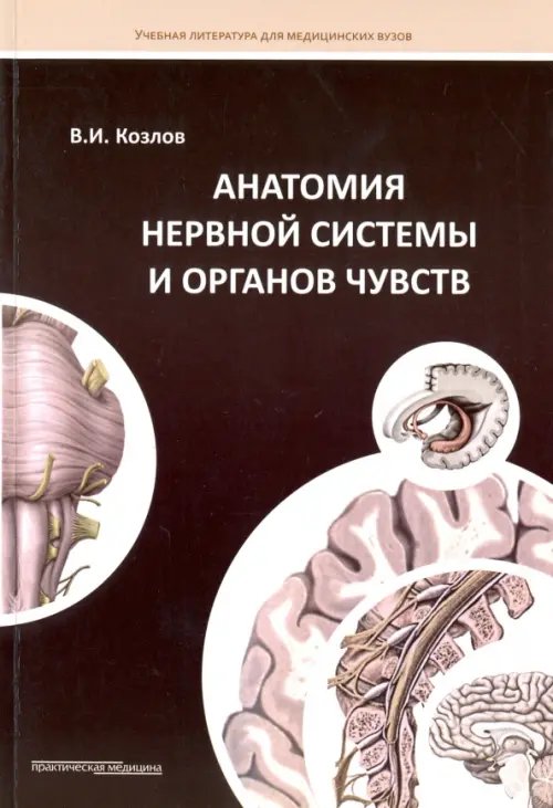 Анатомия нервной системы и органов чувств. Учебное пособие Анатомия нервной системы и органов чувств. Учебное пособие