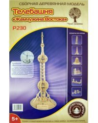 Сборная деревянная модель. Телебашня Жемчужина востока