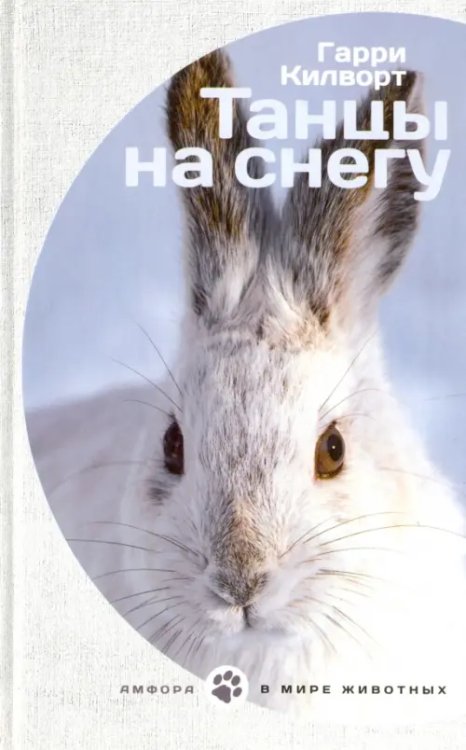 В мире животных Танцы на снегу