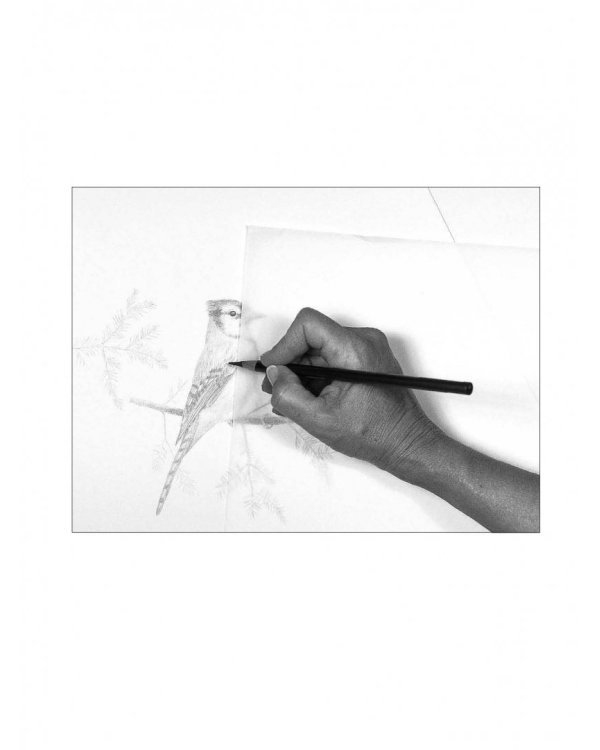 Композиция и перспектива