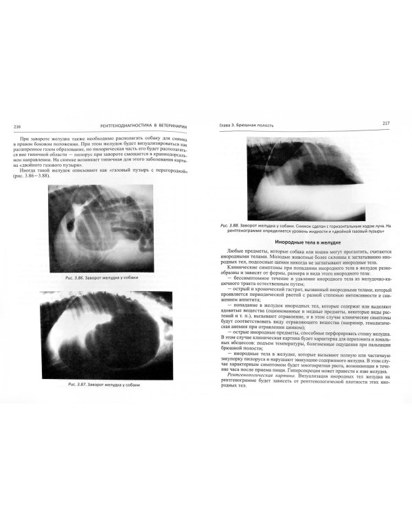 Рентгенодиагностика в ветеринарии. Учебник