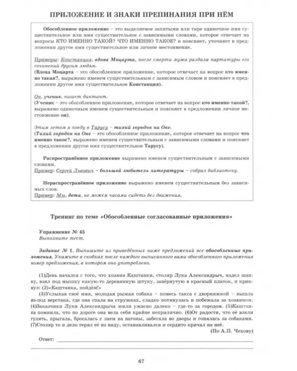 Русский язык. 11 класс. Практикум по орфографии и пунктуации. Готовимся к ЕГЭ. Учебное пособие