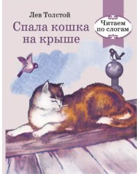 Спала кошка на крыше