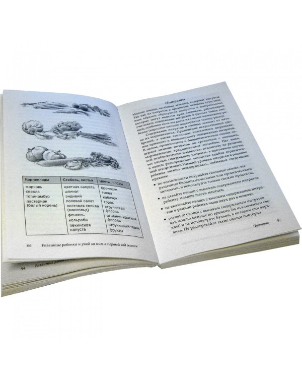 Ребенок от рождения до года. Практическое руководство по уходу и воспитанию